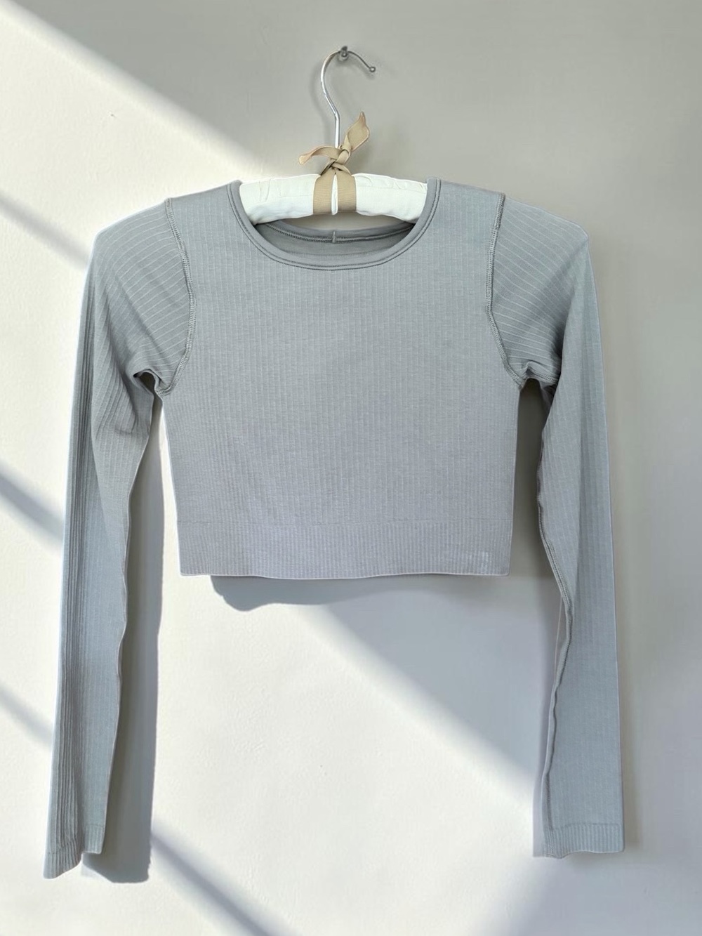 Lululemon Align Long Sleeve Ribbed Crop Top - Light Gray